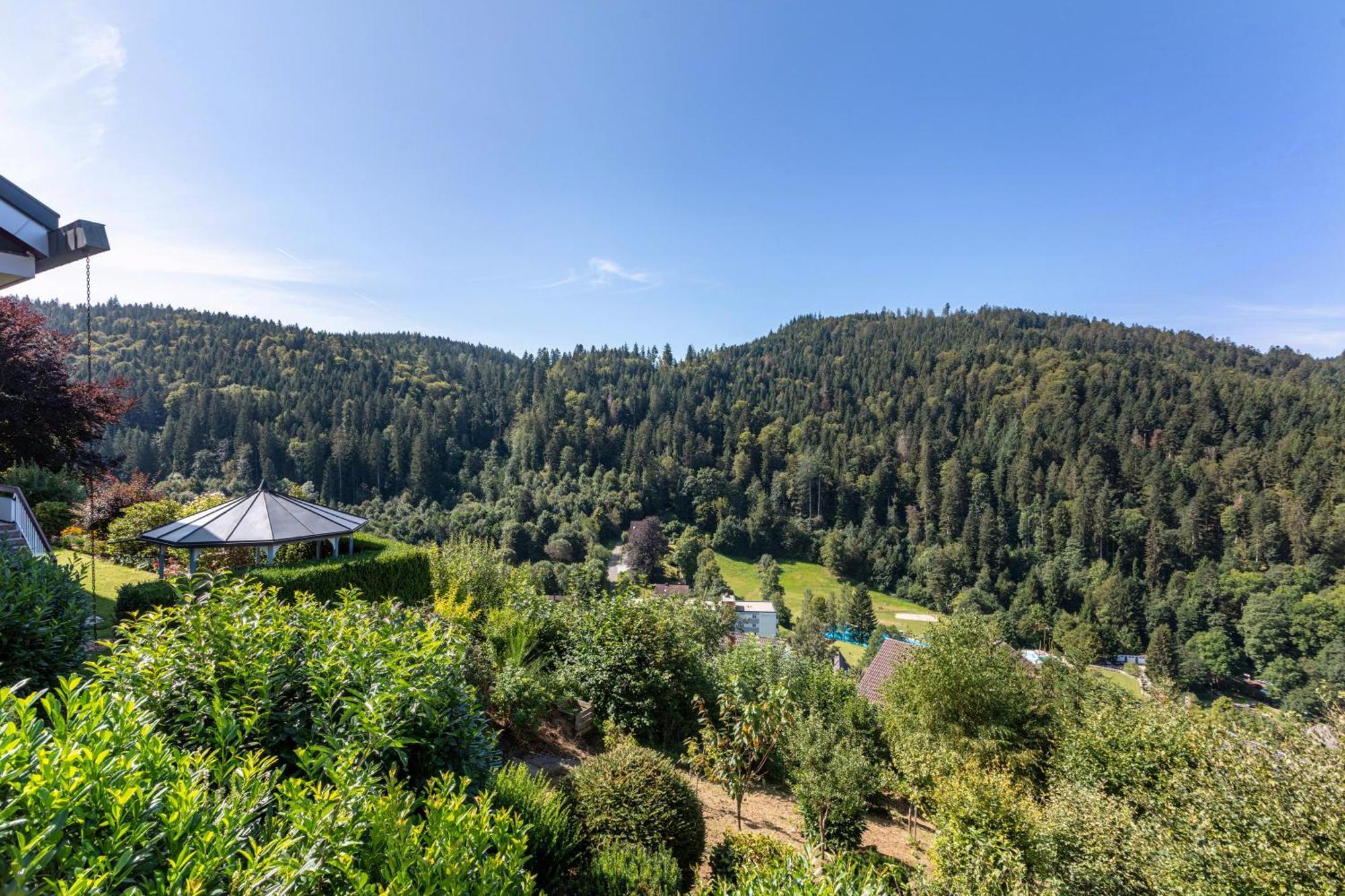 Triberg Blick Apartment Triberg im Schwarzwald Luaran gambar