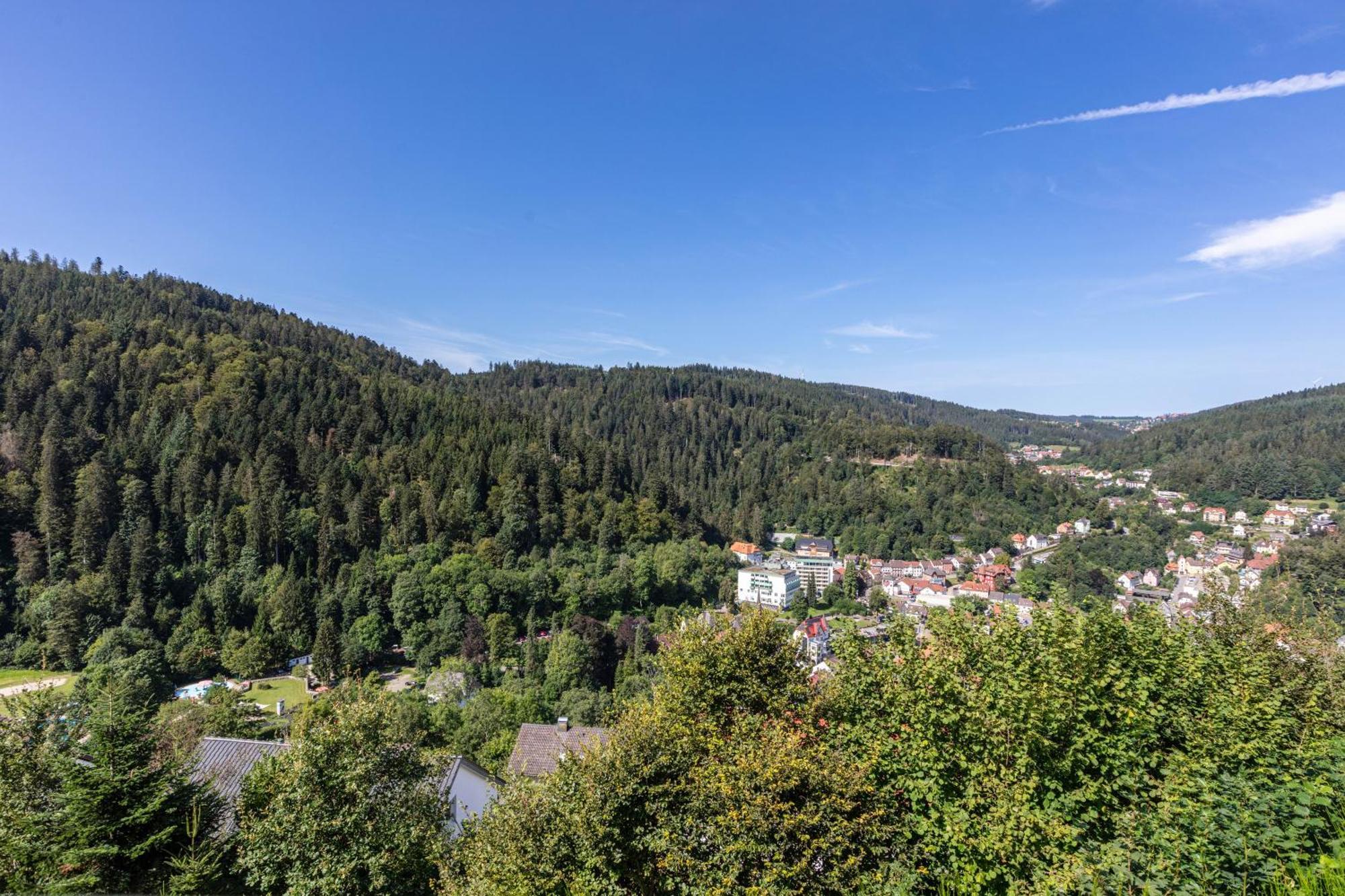 Triberg Blick Apartment Triberg im Schwarzwald Luaran gambar